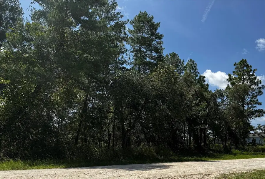 Lot 14 Barnevelde Road, Weeki Wachee, FL 34614 - #2