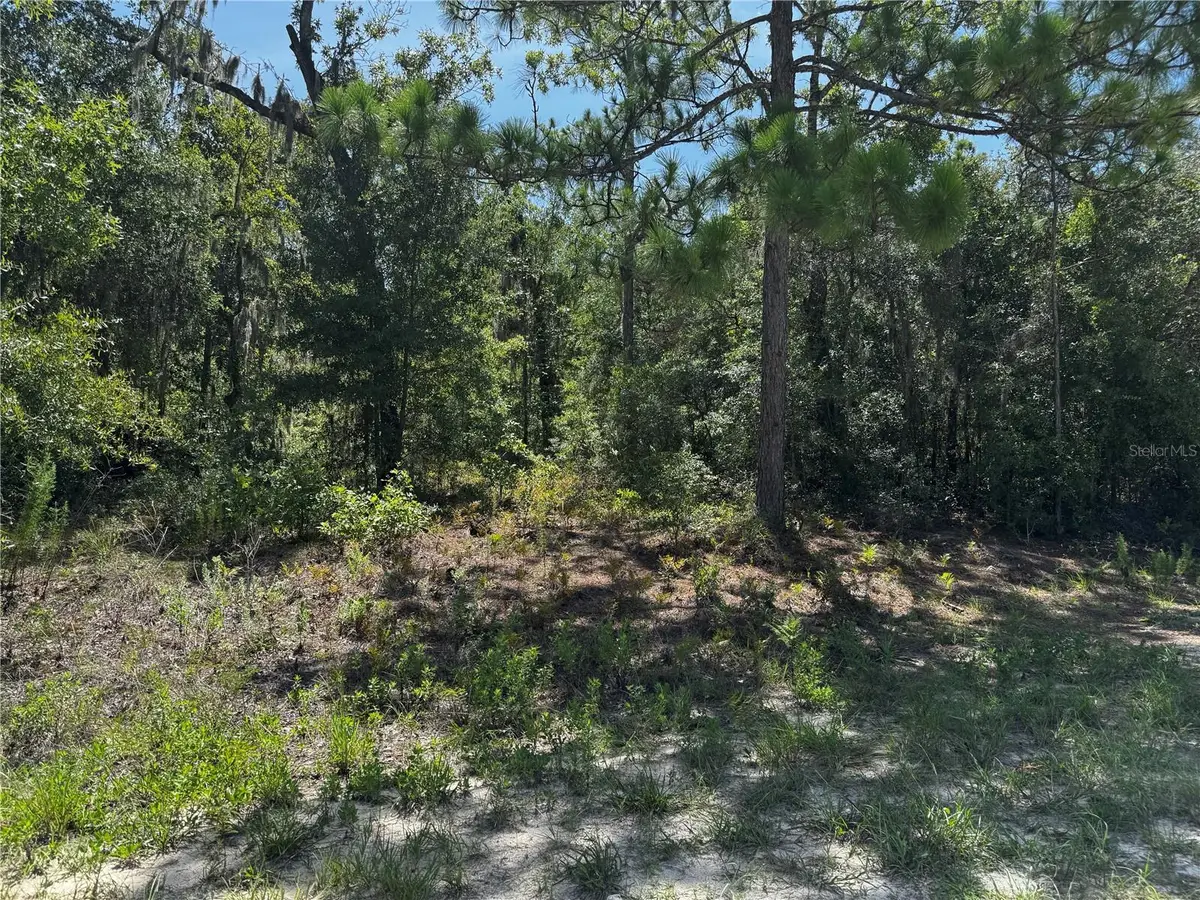 Crider Road #3, Weeki Wachee, FL 34614 - #1