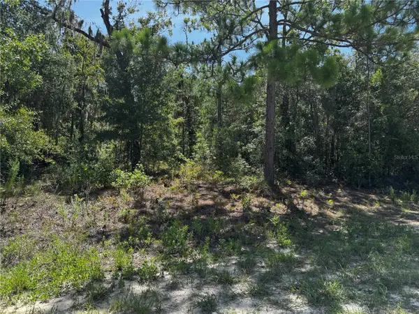 Crider Road #3, WEEKI WACHEE, FL 34614