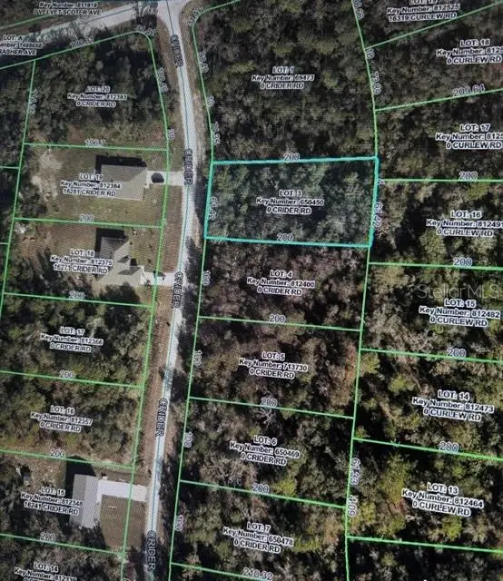 Crider Road #3, Weeki Wachee, FL 34614 - #2