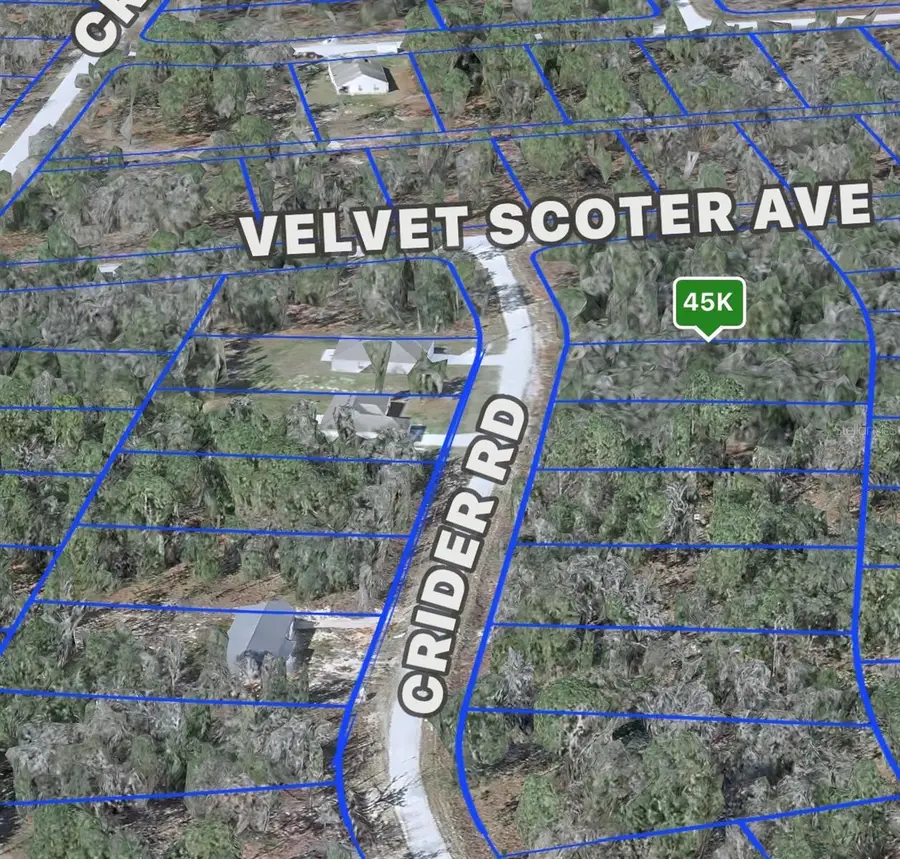 Crider Road #3, Weeki Wachee, FL 34614 - #3