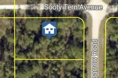 Sooty Tern Avenue, Weeki Wachee, FL 34614 - #1