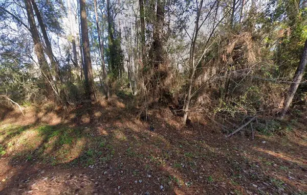 110 Pamela Drive, SATSUMA, FL 32189