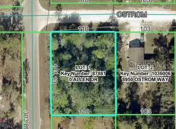 8092 Allen Drive, Weeki Wachee, FL 34613 - #2