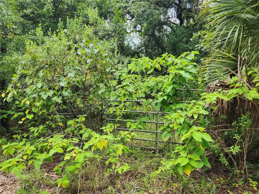 00 Oak Drive #Tract 25, Hudson, FL 34669 - #3