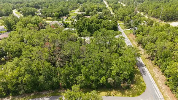 1320 W Sorrento Drive, CITRUS SPRINGS, FL 34434