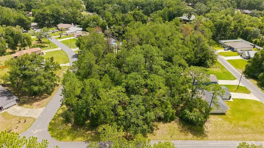 1320 W Sorrento Drive, Citrus Springs, FL 34434 - #3