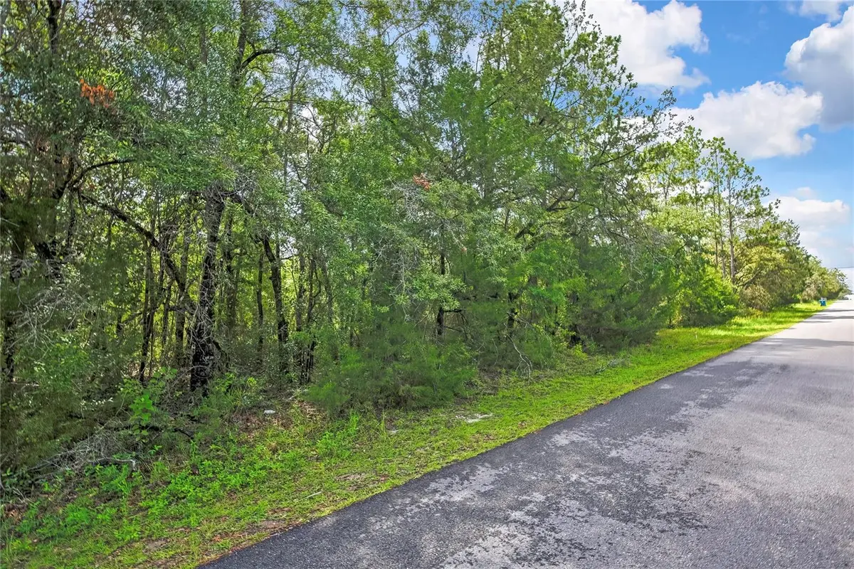 0 English Sparrow Road, Weeki Wachee, FL 34614 - #1