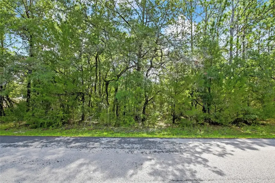 0 English Sparrow Road, Weeki Wachee, FL 34614 - #3
