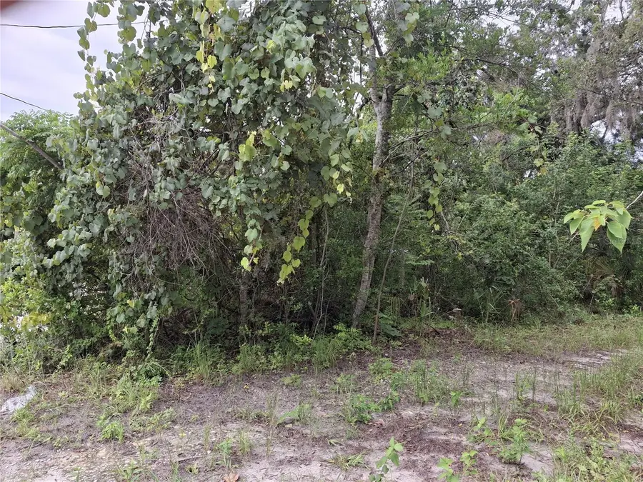 15371 Winner Lane, Hudson, FL 34667 - #2