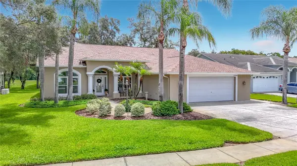 13540 Plantation Lake Circle, HUDSON, FL 34669