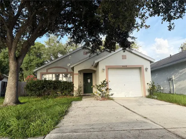 6608 Northhaven Court, RIVERVIEW, FL 33578