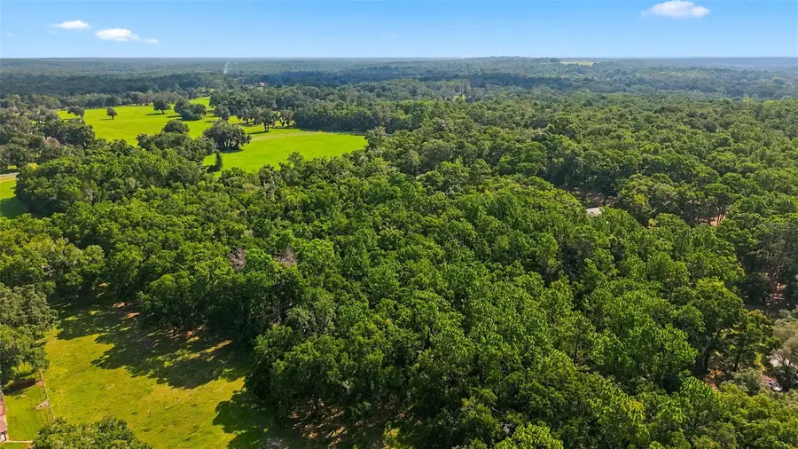 Lonesome Road, Brooksville, FL 34601 - #3