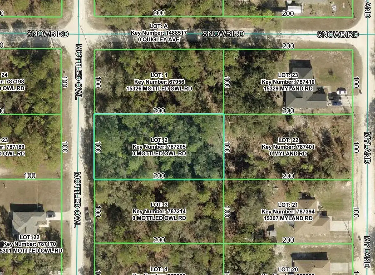 15316 Mottled Owl Road, Brooksville, FL 34614 - #1