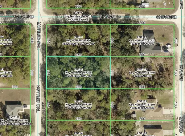 15316 Mottled Owl Road, BROOKSVILLE, FL 34614