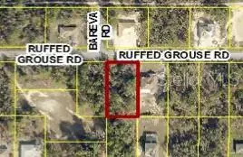 13364 Ruffed Grouse Road, Weeki Wachee, FL 34614 - #1