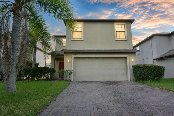 20028 Satin Leaf Avenue, TAMPA, FL 33647