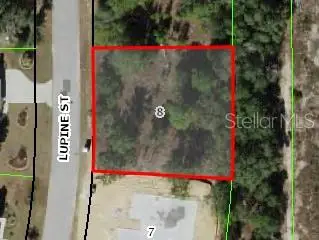 16 Lupine Street, HOMOSASSA, FL 34446