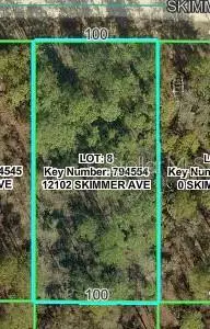 12102 Skimmer Avenue, Weeki Wachee, FL 34614 - #2