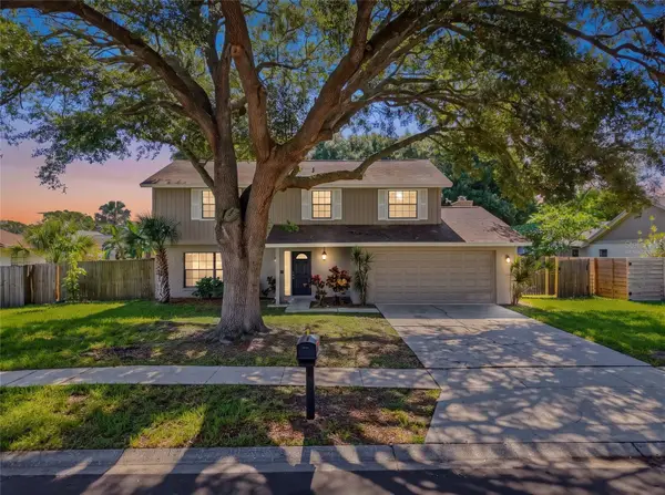 414 Still Meadows Circle E, PALM HARBOR, FL 34683