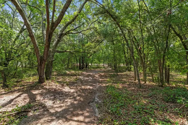 Wheystone Drive, WEBSTER, FL 33597