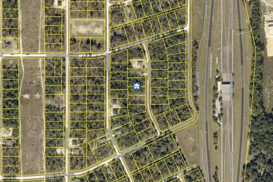 Lot 16 Crider Road, Weeki Wachee, FL 34614 - #2