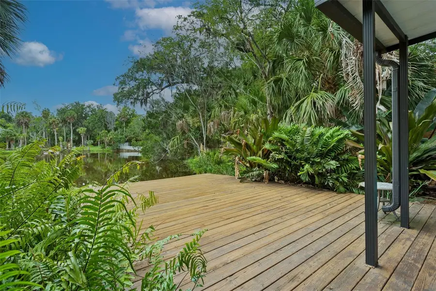 4521 Edith Street, New Port Richey, FL 34652 - #3