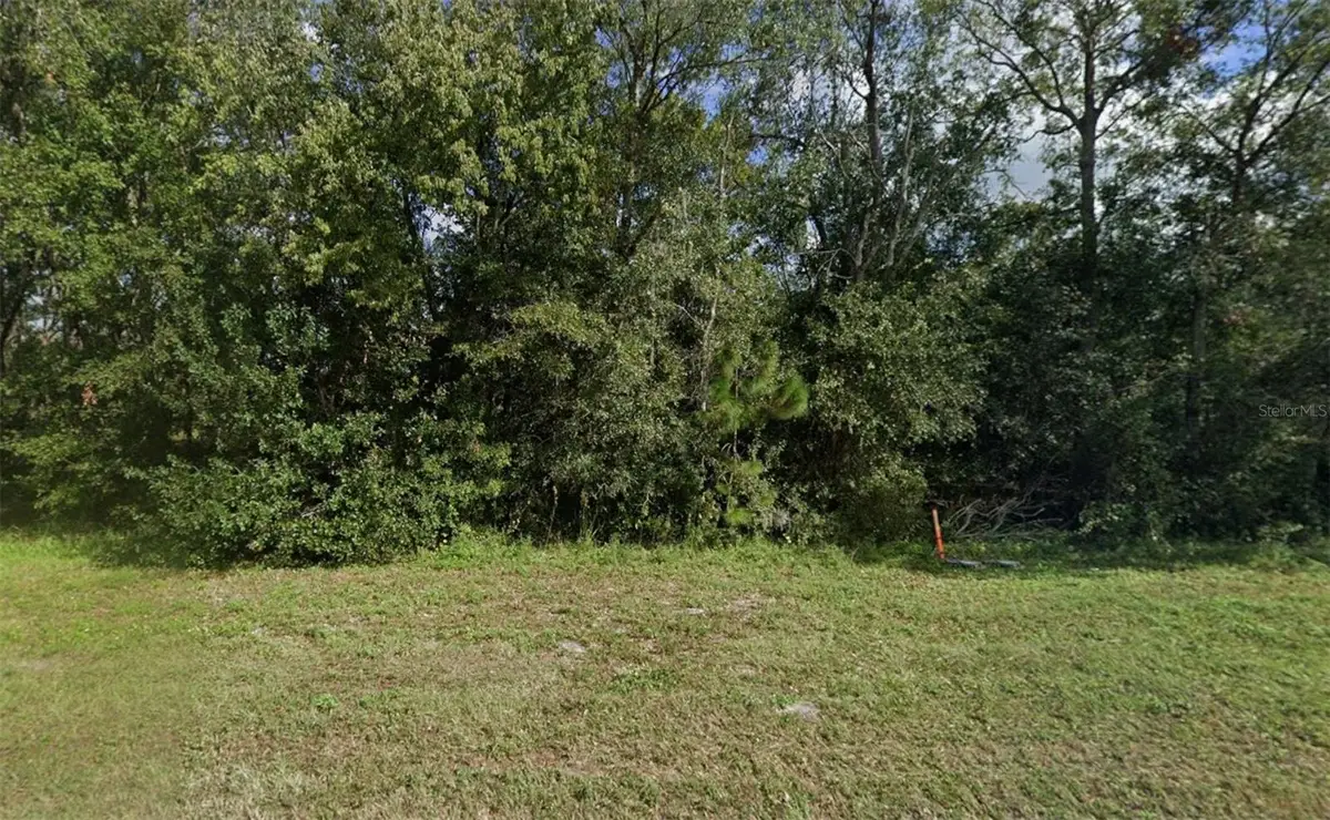 252 Commonwealth Avenue N, Polk City, FL 33868 - #1