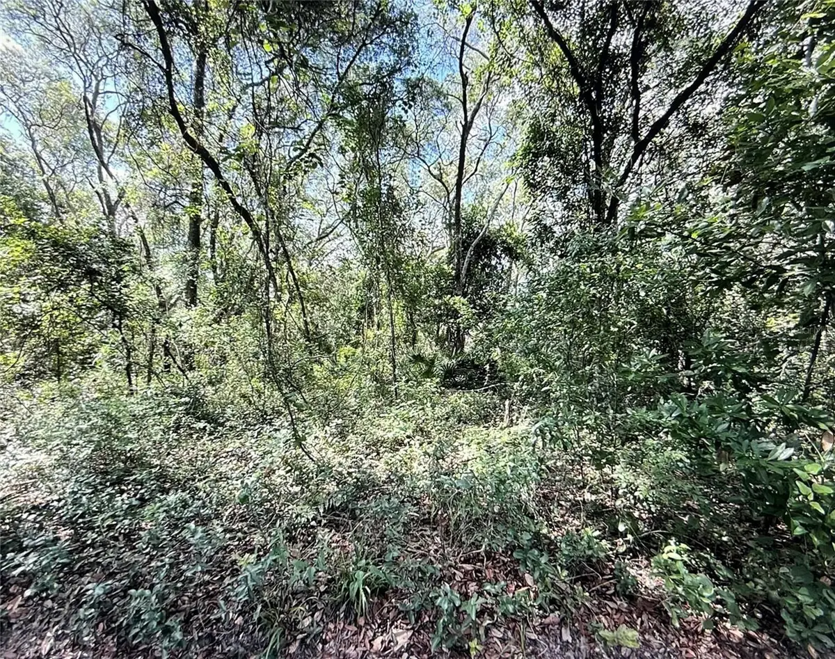 SW 150th Street, Dunnellon, FL 34432 - #1