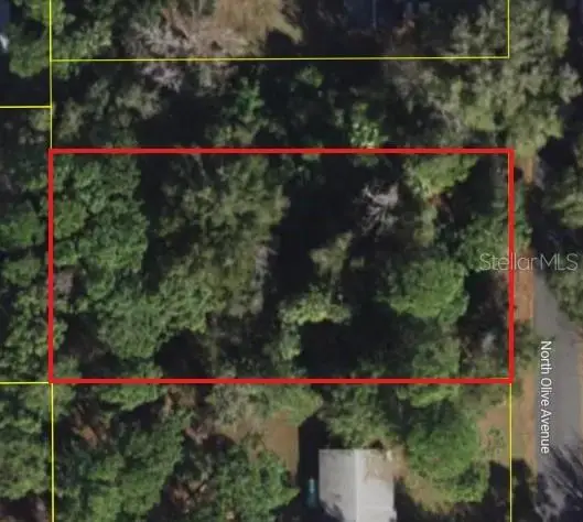 3408 N Olive Avenue, CRYSTAL RIVER, FL 34428