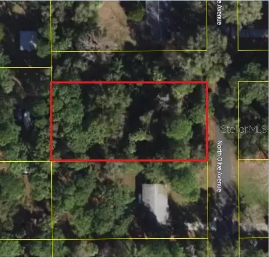 3408 N Olive Avenue, Crystal River, FL 34428 - #2