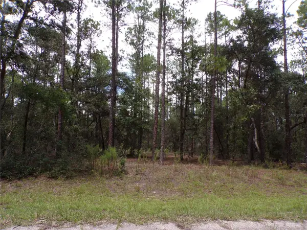 601 E Marquette Lane, CITRUS SPRINGS, FL 34434