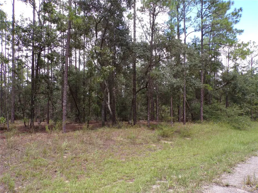 601 E Marquette Lane, Citrus Springs, FL 34434 - #2