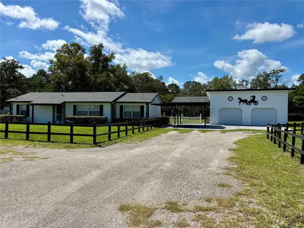 17620 Chorvat Avenue, SPRING HILL, FL 34610