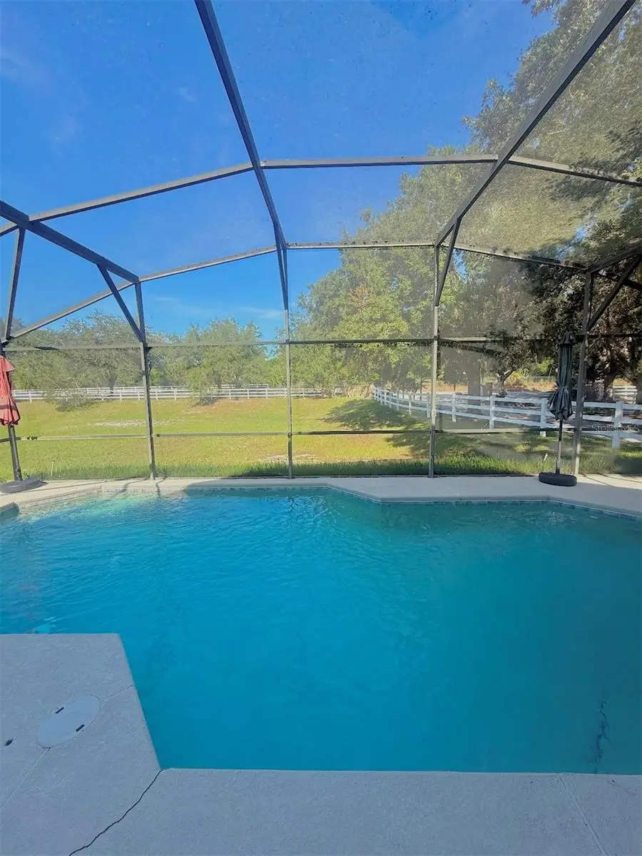 733 Saddle Ridge Drive, Davenport, FL 33896 - #3