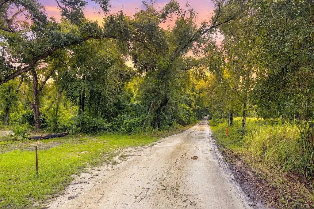 0 Lucilles Shady Lane, Nobleton, FL 34661 - #1