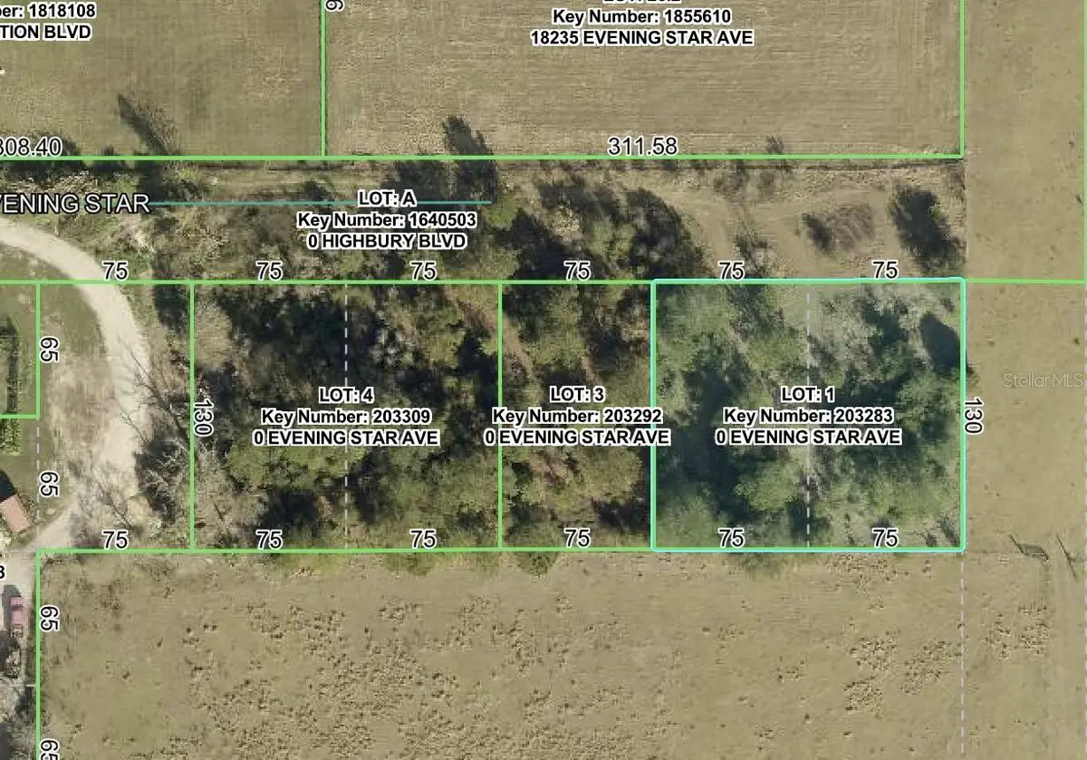 Evening Star Avenue, Brooksville, FL 34604 - #1
