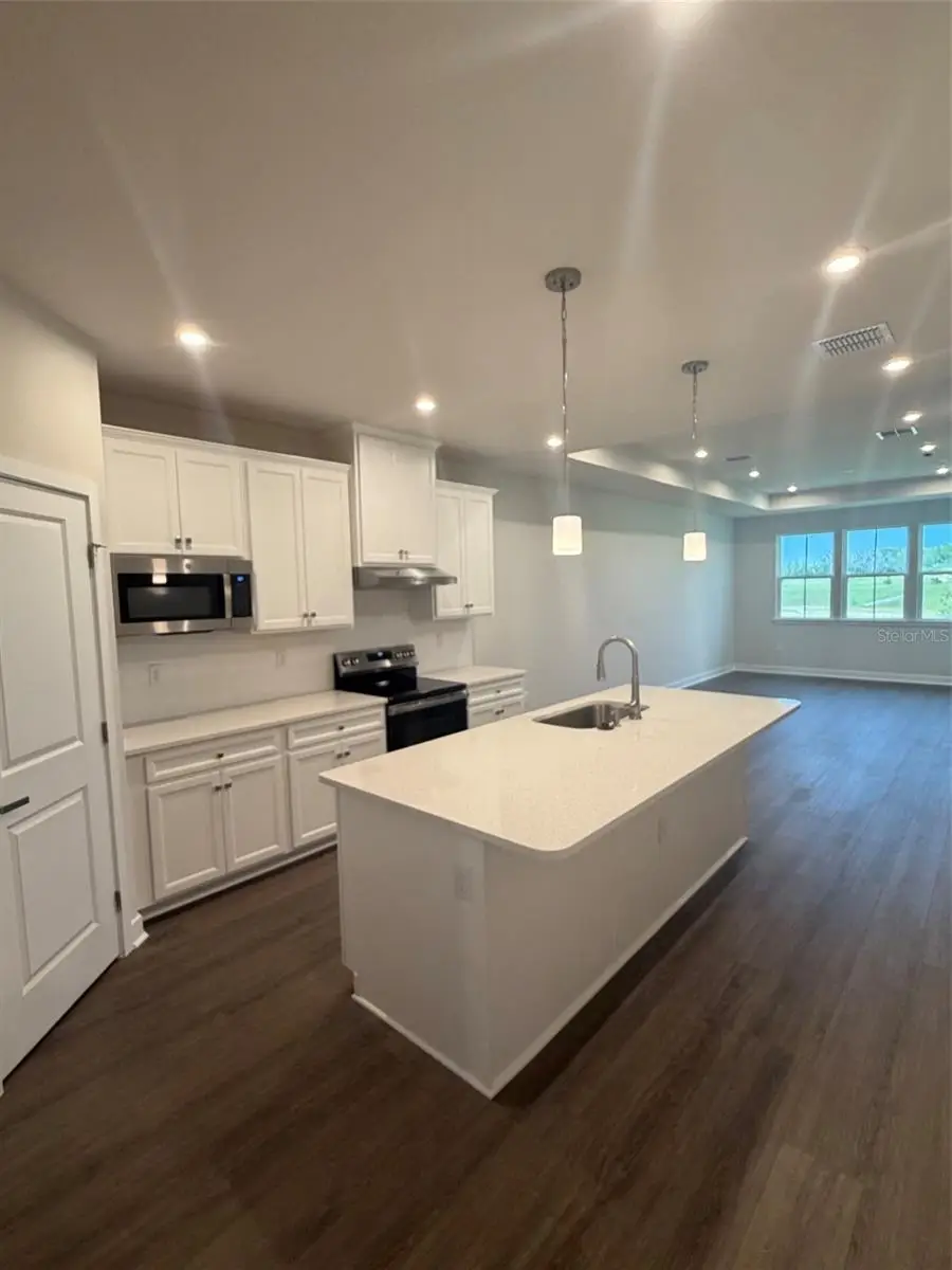 18732 Highland Dew Street, Spring Hill, FL 34610 - #3
