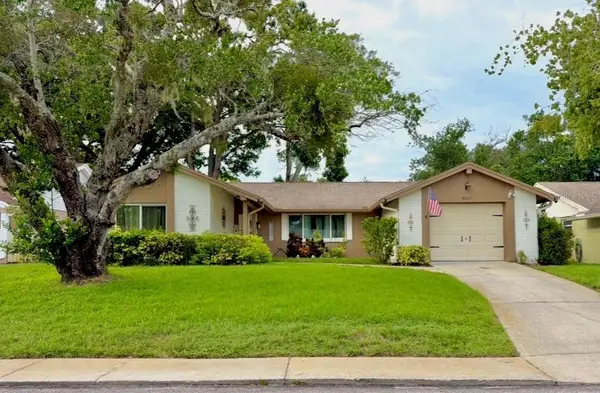 8307 Mill Creek Lane, HUDSON, FL 34667
