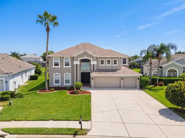1900 Cardamon Drive, TRINITY, FL 34655