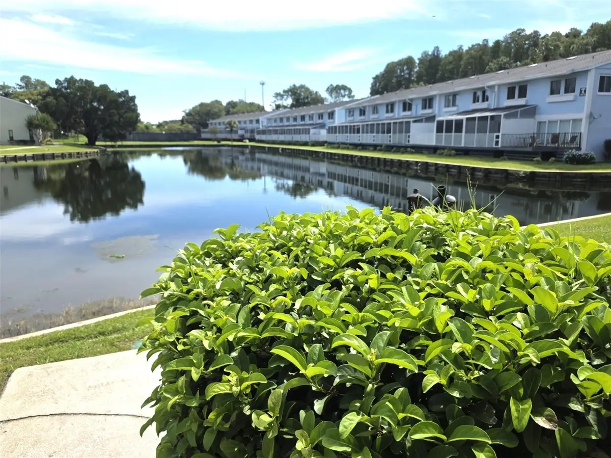 1778 Samurai Point #Q4, Lutz, FL 33558 - #1