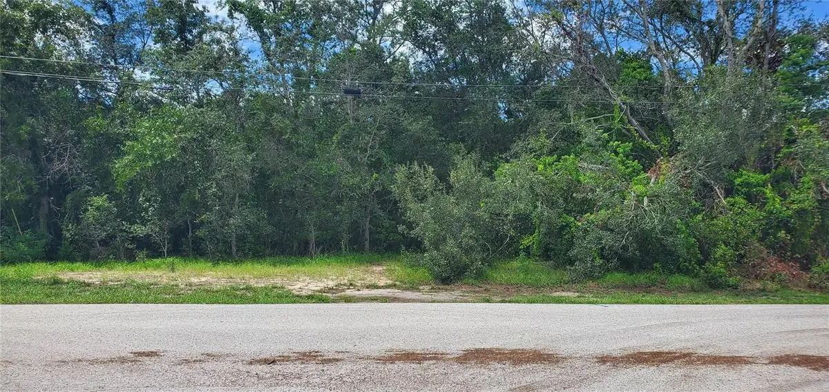Address Withheld By Seller, Spring Hill, FL 34606 - #1
