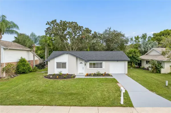 12220 Meadowbrook Lane, HUDSON, FL 34667