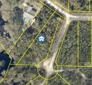 8279 Coley Street, WEBSTER, FL 33597