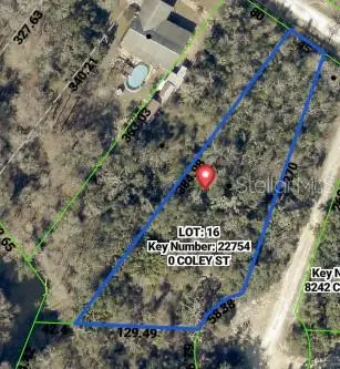 8279 Coley Street, Webster, FL 33597 - #2