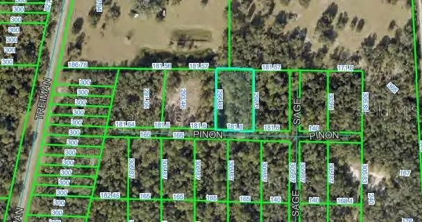 Pinon Drive, Webster, FL 33597 - #2