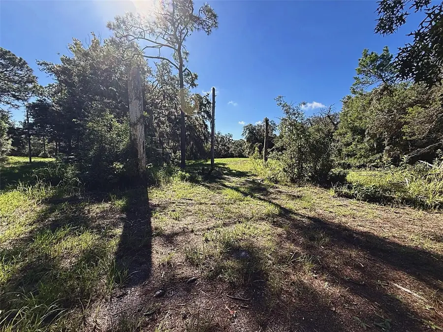 9630 Ellis Street, New Port Richey, FL 34654 - #3