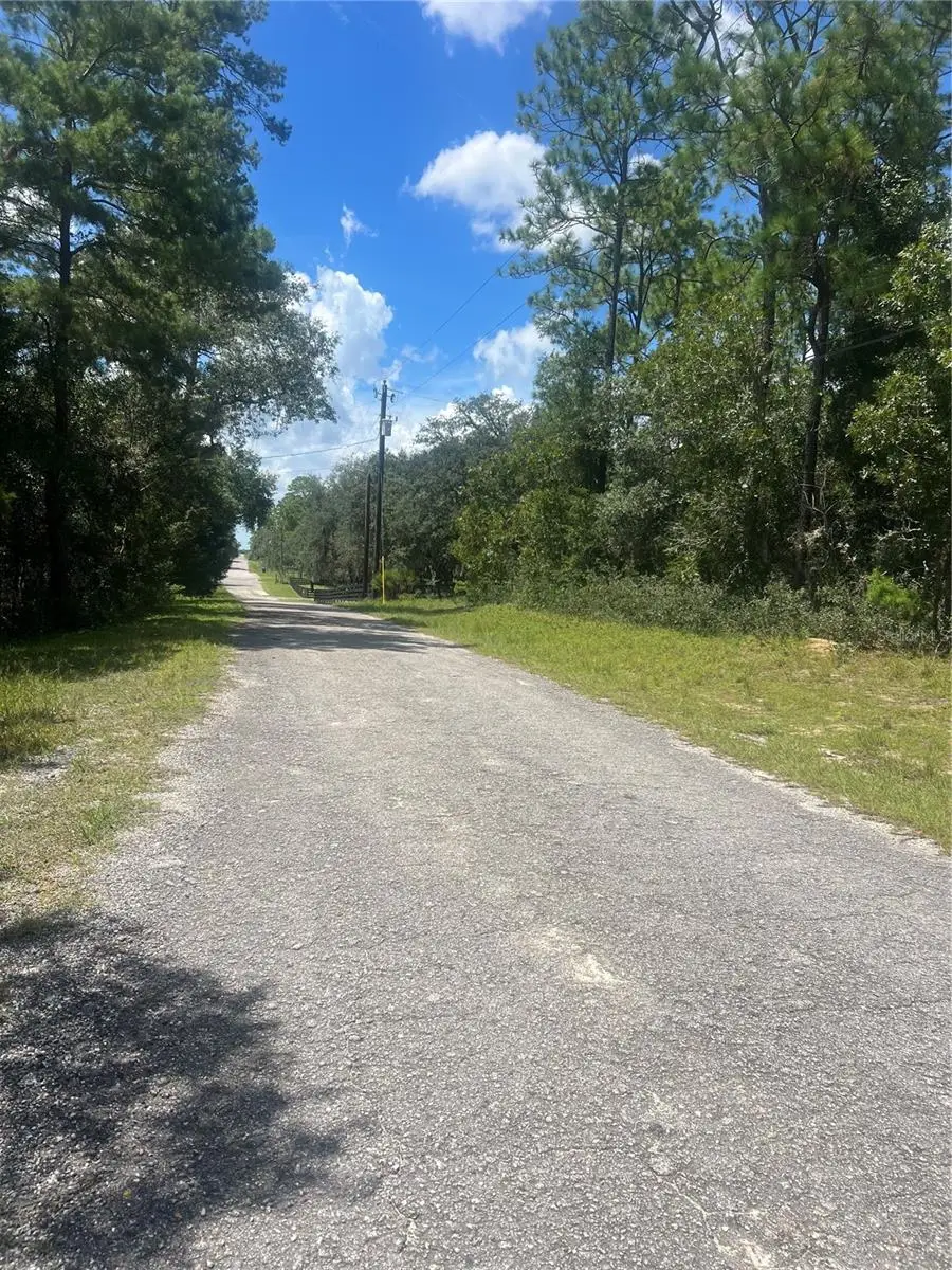 Whipperwill Street, Brooksville, FL 34601 - #2