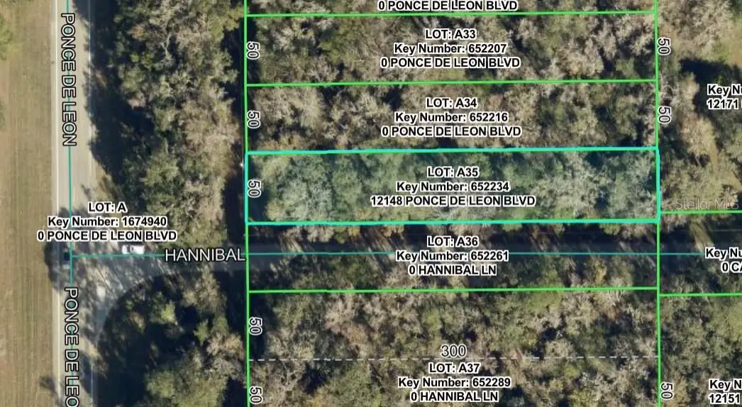 12148 Ponce De Leon Boulevard, Brooksville, FL 34601 - #1