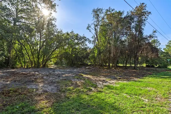 6669 W Cardinal Street, HOMOSASSA, FL 34446